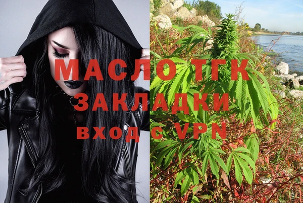 тгк Алексин