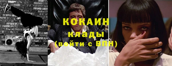 винт Алзамай