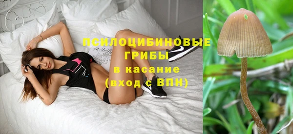 винт Алзамай